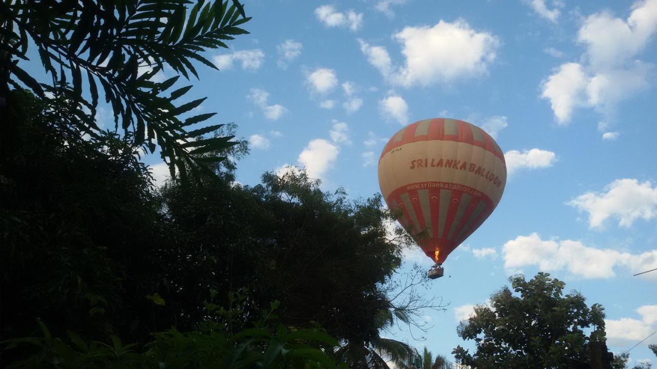 Nilambara Lake View Dambulla Exterior foto